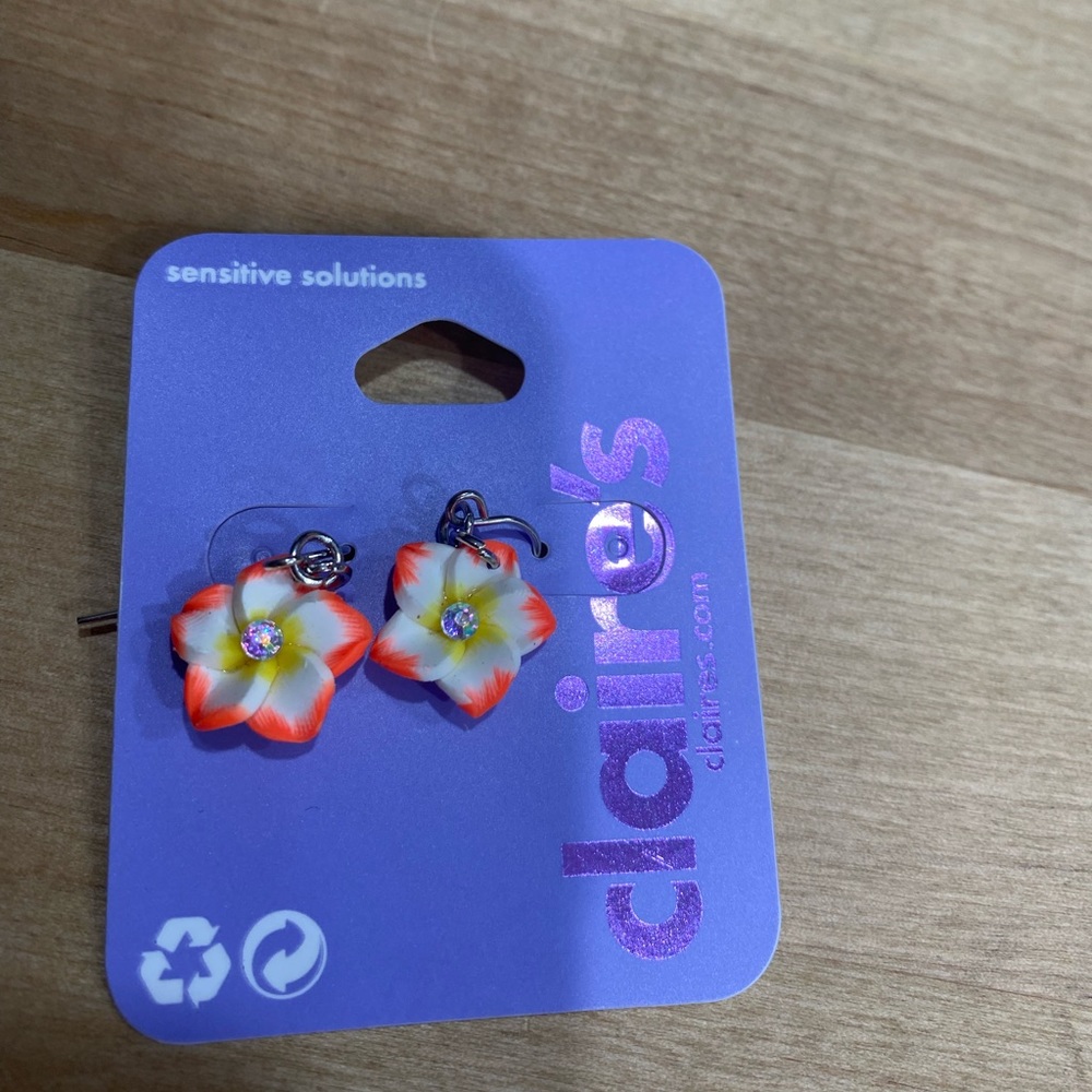 Brand New earrings never worn